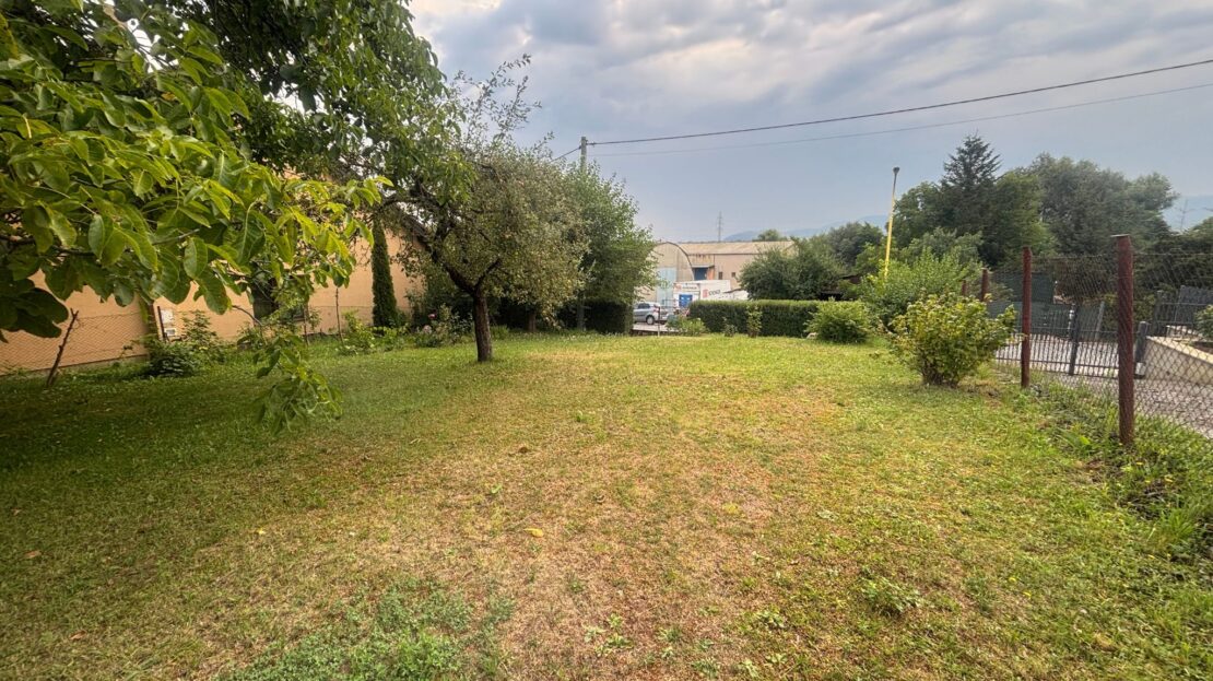 video image